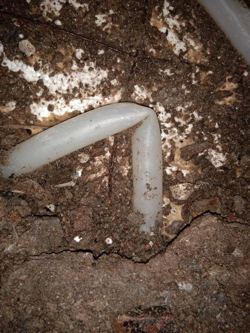 新乐堵点精准查找